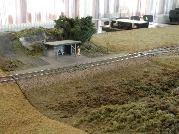 Pinewood
